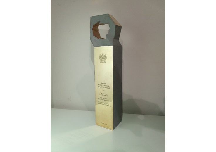 Nagroda Statuetka- Nagroda Ministra Rozwoju Pracy i Technologii